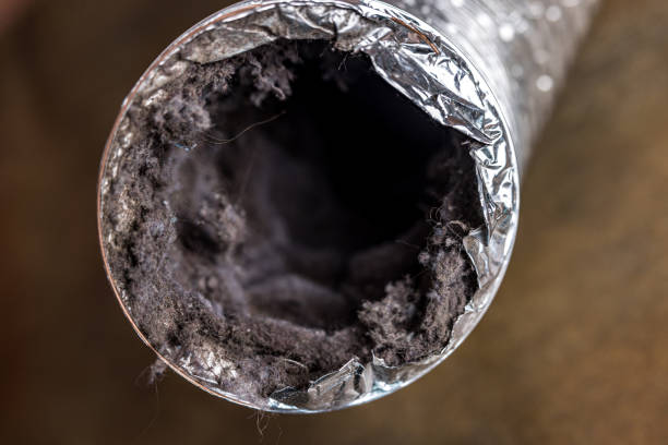 Best Professional Duct Cleaning Services  in Toppers, OK